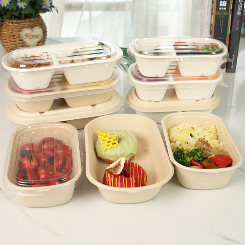 外卖一次性分隔野餐轻食打包盒子