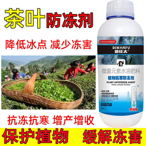 迪旺夫茶叶防冻液茶叶抗冻防寒剂