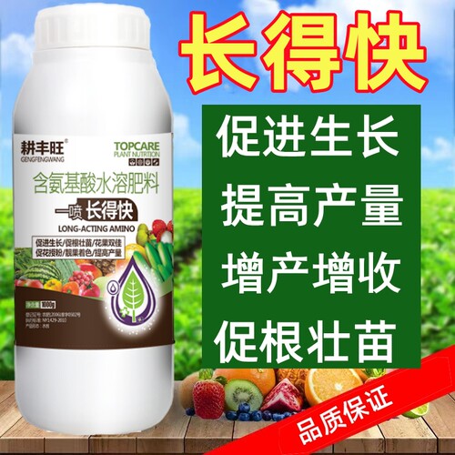 生长精植物长得快肥料