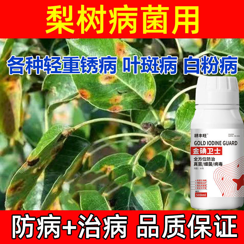梨树专用药梨树病全治梨树专用杀菌剂梨树锈病黑斑病褐斑病软腐病