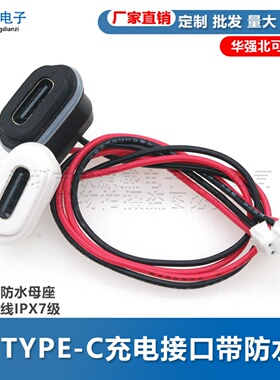 TYPE-C 2P直压式防水母座带线焊线IPX7级替代DC022插座卡式带端子