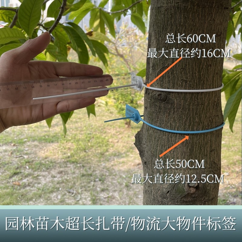 超长加厚一次性塑料封条海钓园林苗木记号物流二维码标签扎带铅封