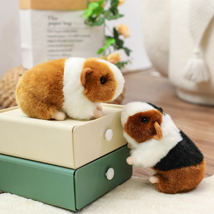 可爱仓鼠公仔毛绒玩具荷兰猪天竺鼠娃娃仿真豚鼠公仔玩偶儿童礼物