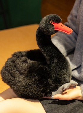 仿真白天鹅公仔毛绒玩具黑天鹅玩偶儿童安抚布娃娃生日礼物男女孩