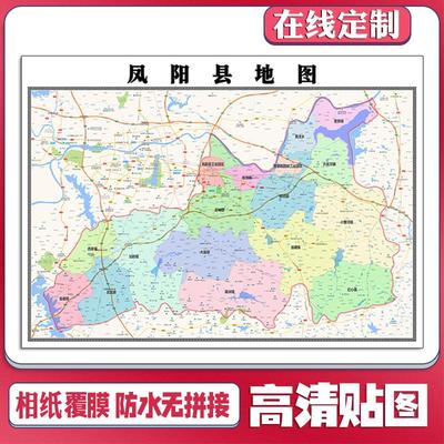 新款望江县地图定制省市县区书房办公室装饰画行政街道图