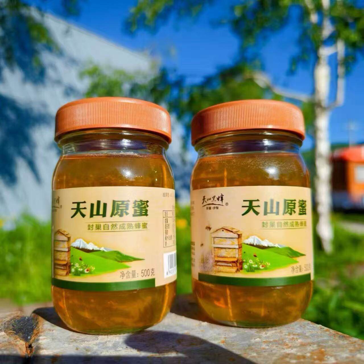 新疆天山黑蜂百花原蜜蜂蜜500g*2瓶蜂蜜