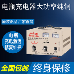 电瓶充电器12V24V伏纯铜多功能通用大功率摩托汽车电池乐牌充电机