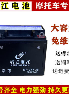 包邮摩托车电瓶12v125跨骑