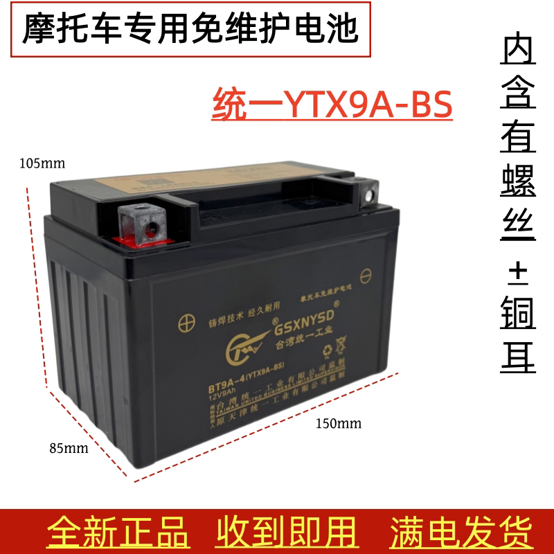 统一摩托车电瓶YTX9A-BS黄龙600 赛GSX 贝纳利GW250 DL300电池12V