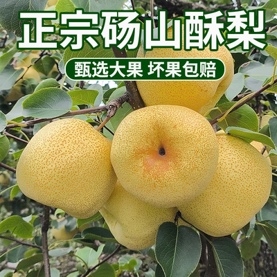 安徽正宗儿童脆甜水果酥梨皮薄