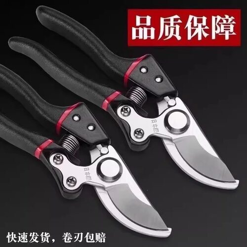 园林果树修枝剪家用省力粗枝剪刀园艺花卉修剪树枝剪枝工具款厂家