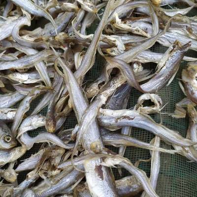 小白刁干阳干鱼小白刁风干鱼腊鱼干咸鱼干小餐条尖头餐小翘嘴