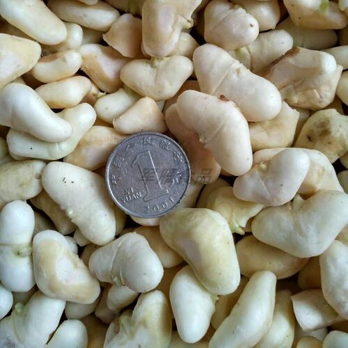 野生小菱角米去壳老菱角粉糯可口
