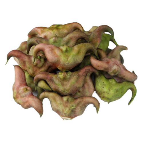 荷于鲜洪湖现摘带壳大嫩菱角粉糯
