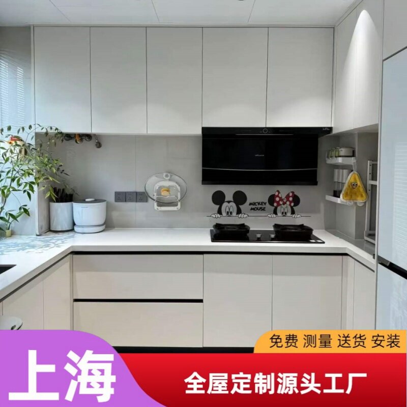 上海源头工厂定制整体橱柜厨房柜整体厨柜