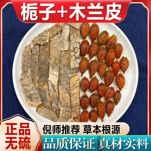 正品栀子木兰皮 正宗中药材 无硫 倪海厦