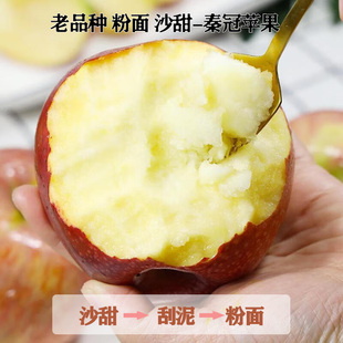 陕西秦冠粉面苹果5-9斤装沙甜糯刮泥新鲜老品种苹果产地直发