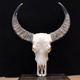 饰品牛头标本 牛头骨 水牛头骨挂件工艺品店铺墙上装 壁挂真牛头骨