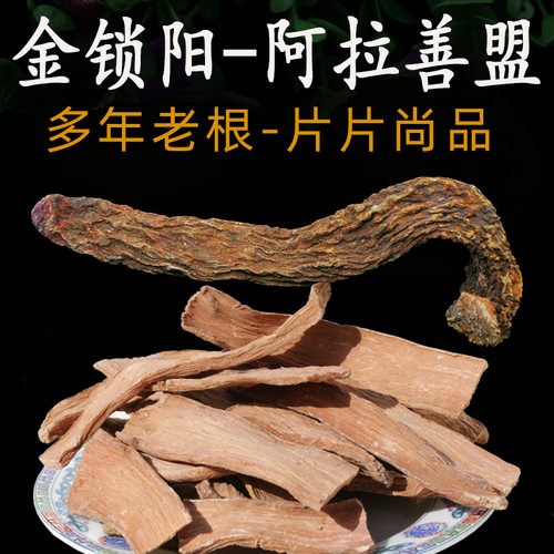 锁阳阿拉善盟纯天然正品中药材