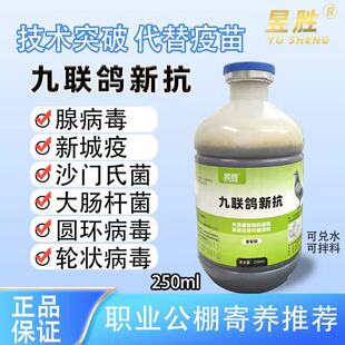 昱胜 九联鸽新抗腺病毒新城疫沙门氏菌大肠杆菌圆环病毒轮状病毒