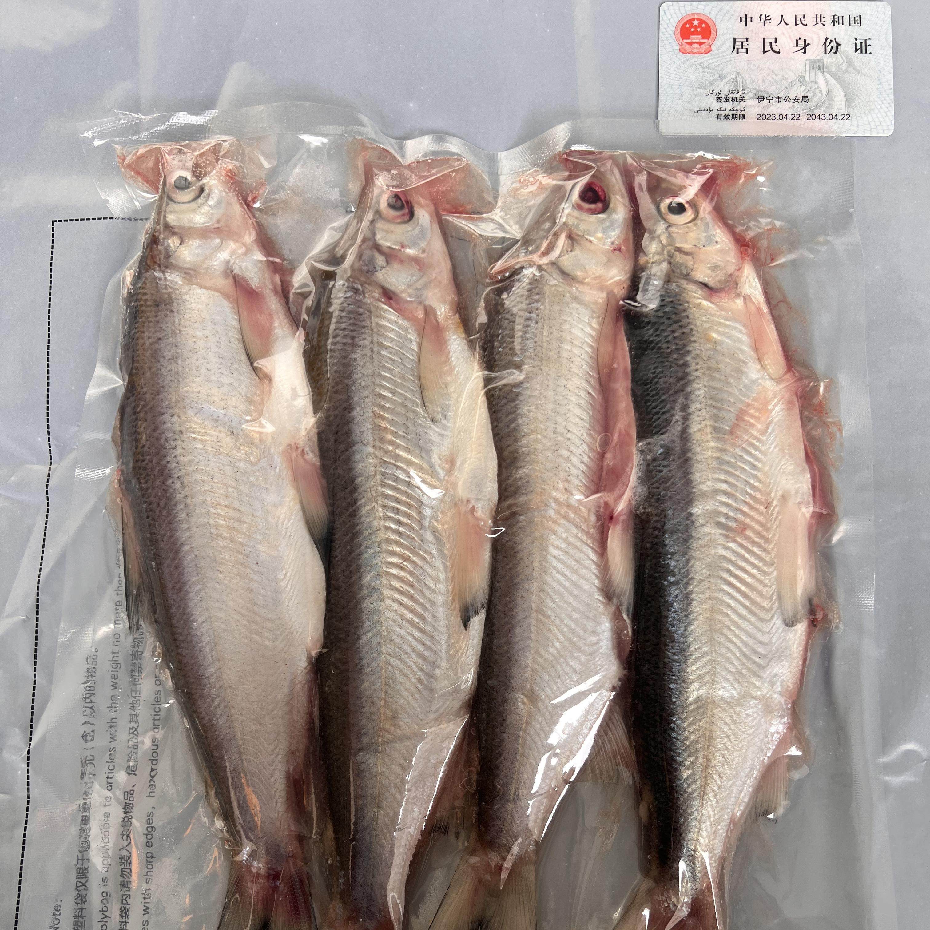 高白鲑渔家淡水水产冰湖真空1kg包装新鲜淡水鱼冰鲜大白冷冻