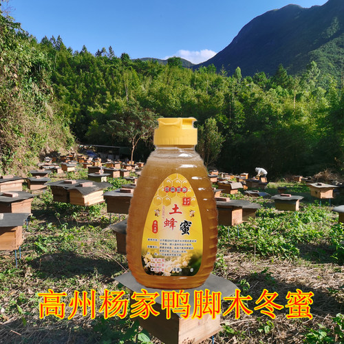 天然成熟荔枝蜜广东高州特产蜂蜜