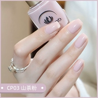CP03 Mountain Camellia
