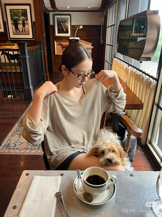 2026年春季 V领长袖 新款 宽松薄款 亚麻针织T恤女 韩版 BEAUTIFUL正版