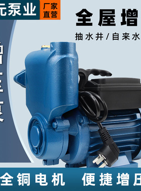 大元自吸泵家用管道自来水增压泵冷热水小型抽水泵220v抽水机WZB