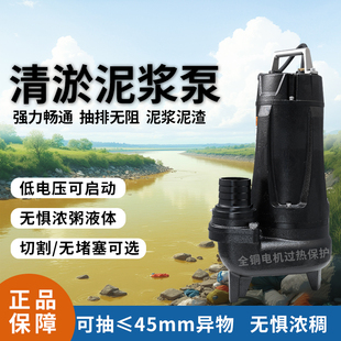 大元污水泵220V大流量厕所抽粪泥浆切割化粪池塘清淤380V池塘清淤