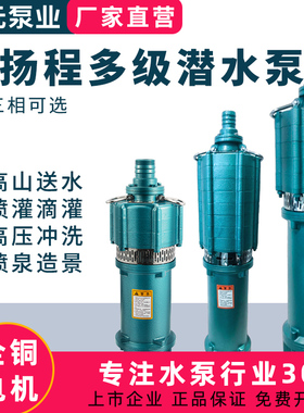 大元多级泵潜水泵380v高压大流量农田灌溉高扬程喷泉泵三相水泵Q