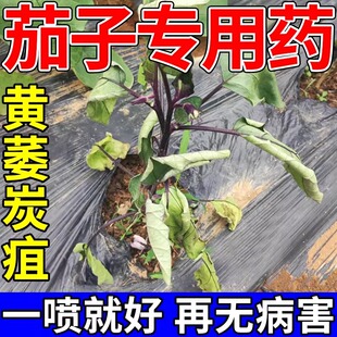茄子病毒病专用药黄叶黄萎病白粉虱红蜘蛛黄萎炭疽灵专用药病菌清