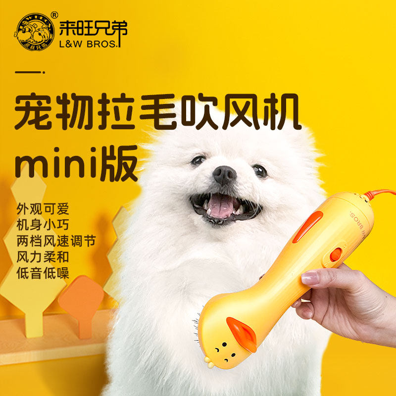 来旺兄弟狗狗吹风拉毛一体机