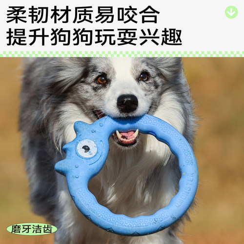 QMONSTER拔河拉环磨牙飞盘洁齿碟