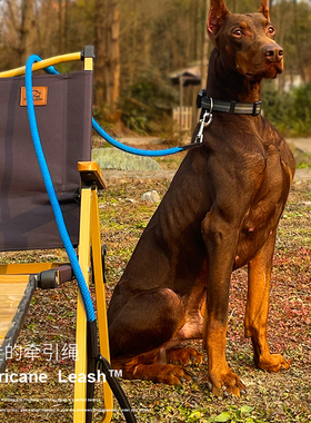 QZee BeauGo狗狗牵引绳 飓风系列防爆冲防挣脱遛狗绳项圈专业训犬