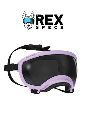 美国Rex Specs护目镜雷克斯佩客狗狗登山犬滑雪眼镜防风宠物墨镜