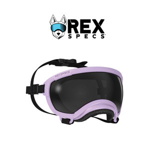 Specs护目镜雷克斯佩客狗狗登山犬滑雪眼镜防风宠物墨镜 美国Rex