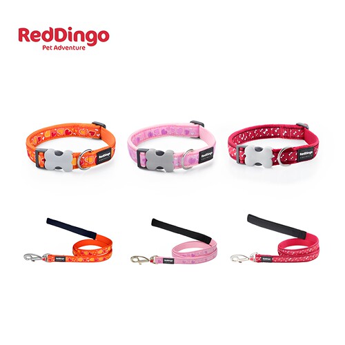 澳洲Reddingo狗狗项圈牵引绳遛狗