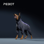 QZee狗狗衣服PEBOT暖棉3M冲锋衣Elsa四腿防风防水大型犬滑雪服