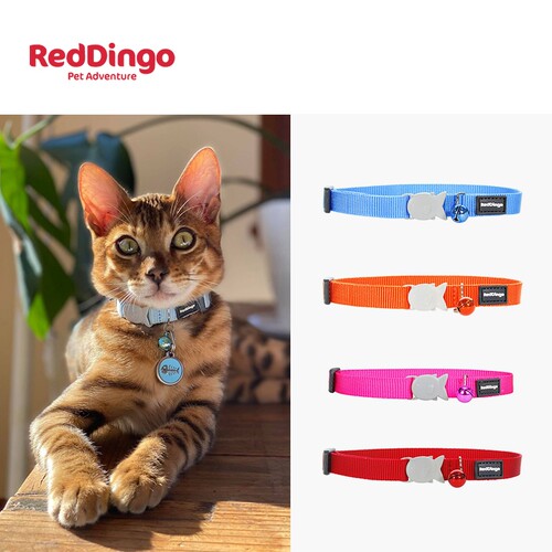 Reddingo真尼龙防窒息猫项圈防丢