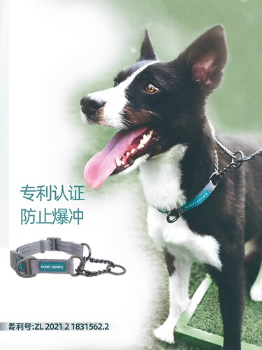 英国KumfiComfy防暴冲P链狗项圈