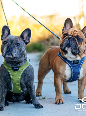 QZee哥本哈根防爆冲狗狗Go胸背带DOG Copenhagen柴犬边牧牵引绳