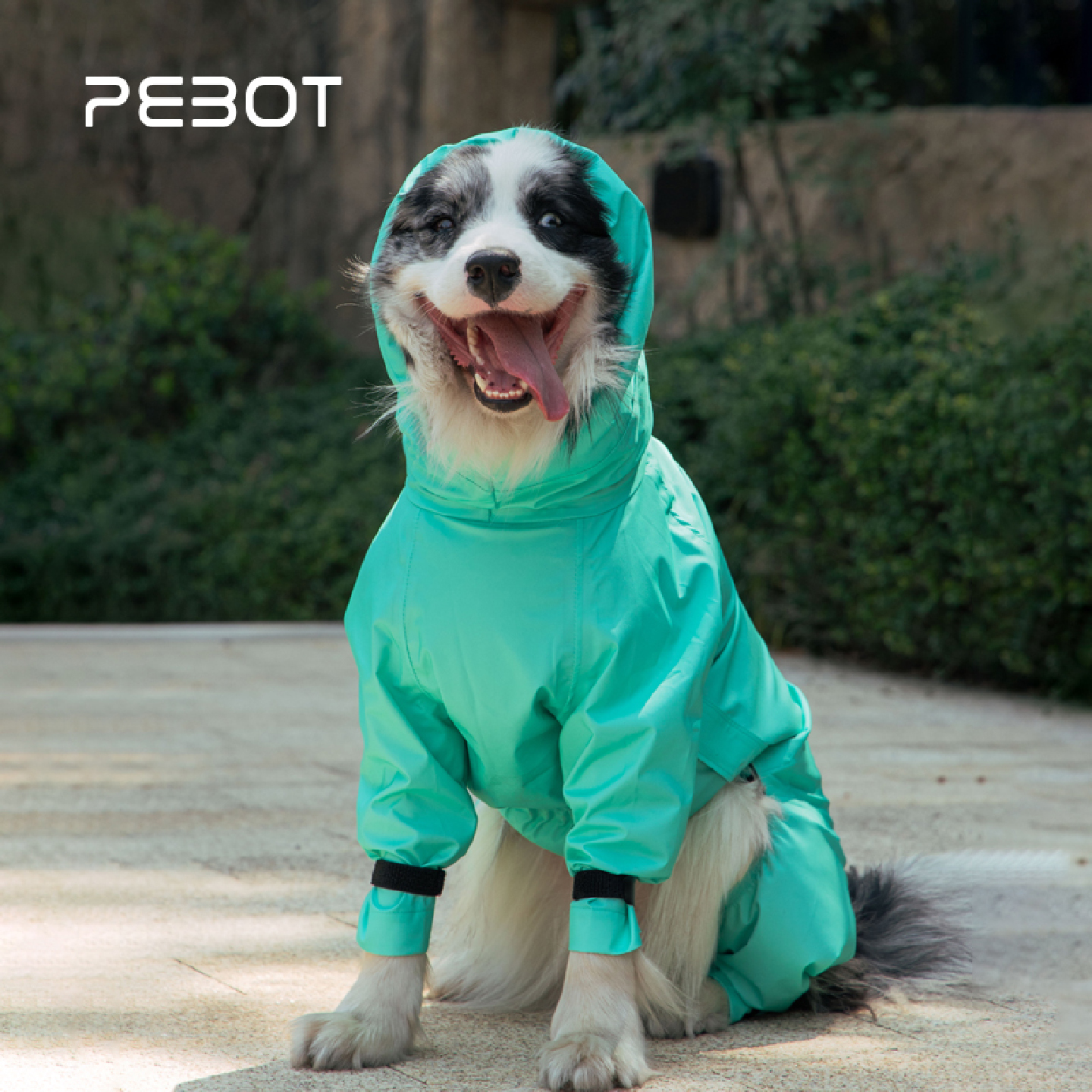 PEBOT四腿全包Bestar狗雨衣冲锋X