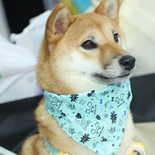 意大利Unitedpets宠物口水巾防水