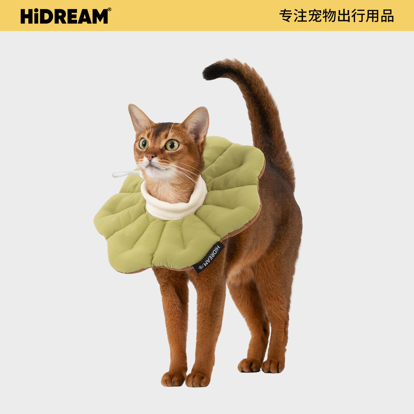 HiDREAM公猫绝育防舔伊丽莎白圈