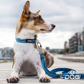 QZee哥本哈根狗狗Style项圈可调节牵引绳DOG Copenhagen柴犬边牧