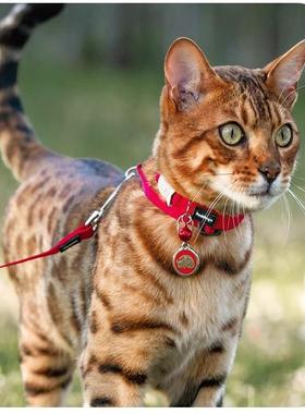 QZee猫咪牵引绳胸背套装瑞鼎RedDingo防挣脱遛猫宠物英短不勒脖
