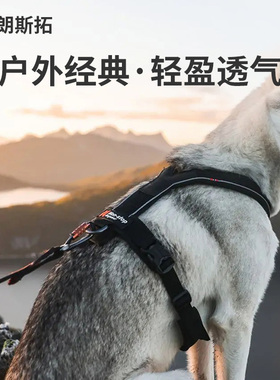 QZee挪威Nonstop朗斯拓莱恩宠物Y字胸背带户外犬防爆冲遛狗牵引绳