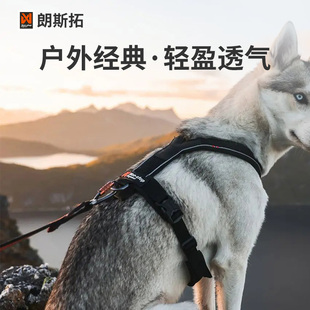 QZee挪威Nonstop朗斯拓莱恩宠物Y字胸背带户外犬防爆冲遛狗牵引绳