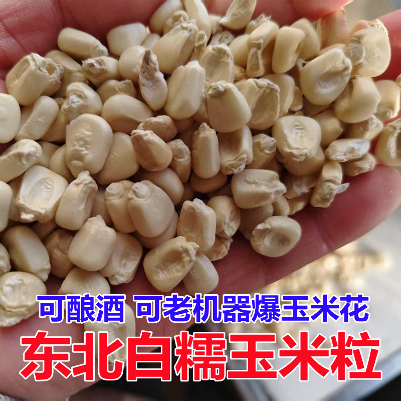 糯玉米粒白糯玉米酿酒原料也可用大集上老机器爆玉米花5斤10斤20